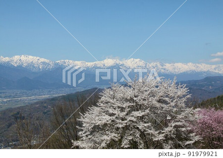 光城山　登山 91979921