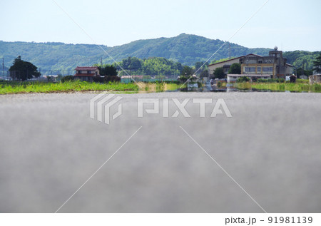 夏の炎天下のアスファルト路面に陽炎ができている光景 91981139