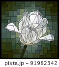 Vector stained glass window with blooming white tulip flower. 91982342