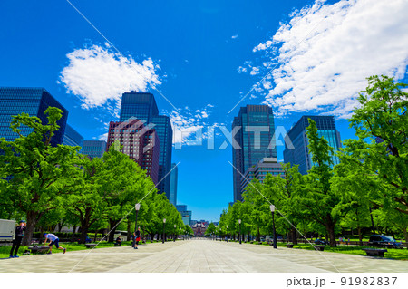 新緑の行幸通りからの東京駅とビル（東京都千代田区） 91982837