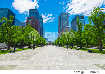 新緑の行幸通りからの東京駅とビル（東京都千代田区） 91982838