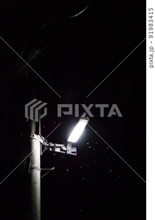 電柱に設置されたライトに多数の虫が群がっている夏の夜間の屋外の光景を高感度で撮影した画像 91983415