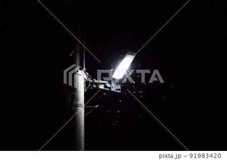 電柱に設置されたライトに多数の虫が群がっている夏の夜間の屋外の光景を高感度で撮影した画像 電柱に設置されたライトに多数の虫が群がっている夏の夜間の屋外の光景を高感度で撮影した画像 91983420