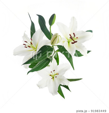 Bouquet of light lilies isolated on white background. Bouquet of light lilies isolated on white background. 91983449