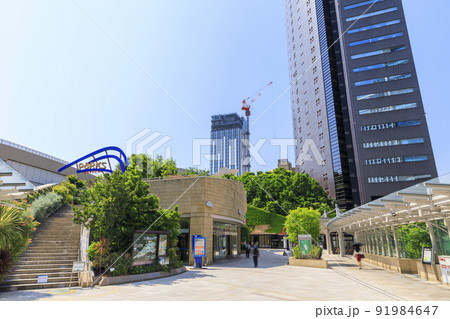 大阪市浪速区難波　初夏のなんばパークス 91984647