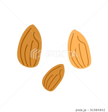 Cute nut isolated on white background. Vector graphic illustration. Vegetarian cafe print, poster, card, logo. Natural, organic dessert sweet, fresh pistachio, eco breakfast. Cute nut isolated on white background. Vector graphic illustration. Vegetarian cafe print, poster, card, logo. Natural, organic dessert sweet, fresh pistachio, eco breakfast. 91984842
