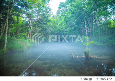 北海道清里町 神の子池 北海道清里町 神の子池 91985372