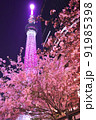 東京スカイツリー舞ライトアップと河津桜 91985398