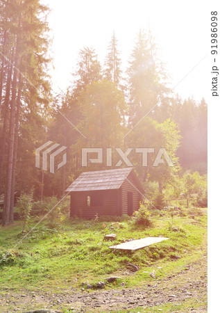 Small natural house, which is built of wood. The building is located in the forest 91986098