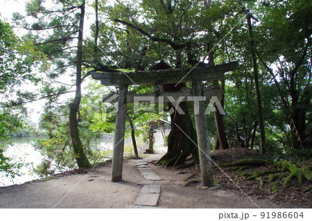 弓削神社 鳥居 弓削神社 鳥居 91986604