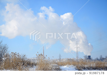 The industrial plant is located behind the swampy terrain, covered with snow. Large field of yellow bulrushes 91987178