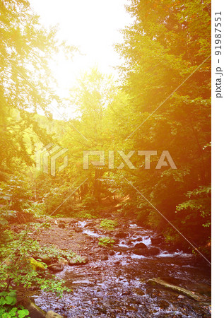 Close-up image of a small wild waterfall in the form of short streams of water between mountain stones 91987551