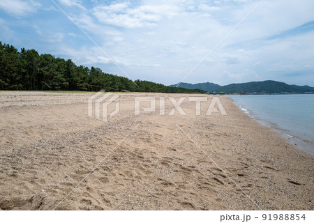 淡路島名勝慶野松原 淡路島名勝慶野松原 91988854