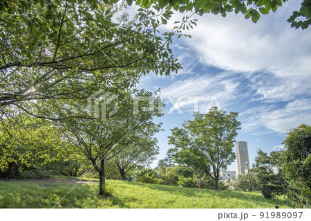 西郷山公園 東京都目黒区青葉台 西郷山公園 東京都目黒区青葉台 91989097
