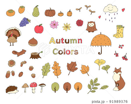 秋のイメージのイラストセット-手描き 秋のイメージのイラストセット-手描き 91989376