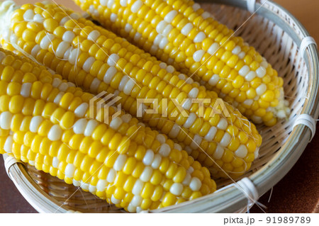 トウモロコシ　出来立て 91989789