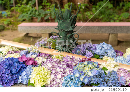 花手水 91990110