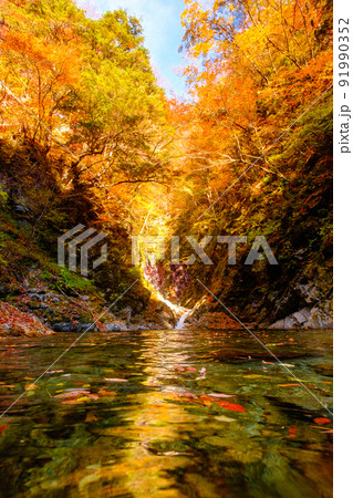 尾白川渓谷（秋）：千ヶ淵 91990352