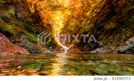 尾白川渓谷（秋）：千ヶ淵 91990373