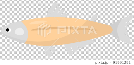 ハダカイワシ 91991291