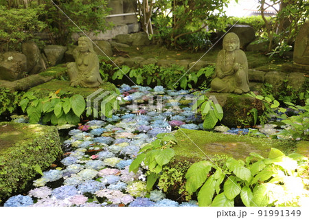 鎌倉長谷寺卍池 91991349
