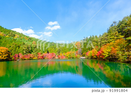 伊奈ヶ湖(秋) 伊奈ヶ湖(秋) 91991804