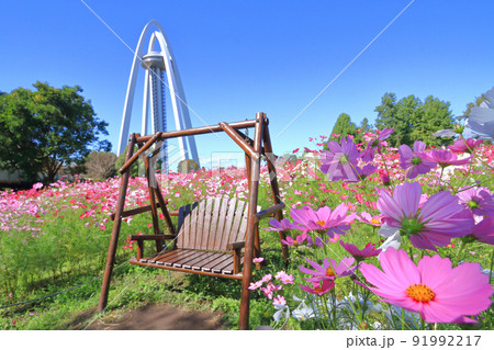 一宮市　138タワーパーク　10月 91992217