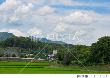 中荻野の夏景色 中荻野の夏景色 91993203