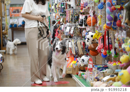 ペットショップでお買い物をする飼い主とその愛犬のボーダーコリー 91993218