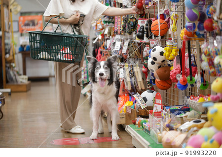 ペットショップでお買い物をする飼い主とその愛犬のボーダーコリー 91993220