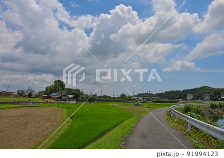 中荻野の夏景色 中荻野の夏景色 91994123