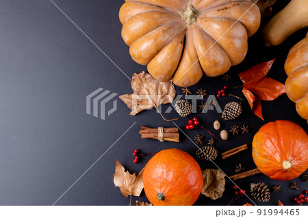 Composition of pumpkins with autumn leaves, pinecones and spices on black background Composition of pumpkins with autumn leaves, pinecones and spices on black background 91994465