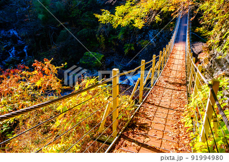大柳川渓谷(秋):竜仙橋 大柳川渓谷(秋):竜仙橋 91994980