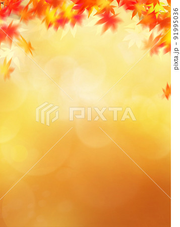 秋の背景素材 91995036