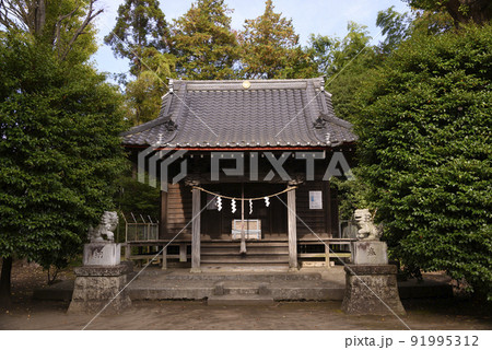 左馬神社の全景 大和市上和田 左馬神社の全景 大和市上和田 91995312