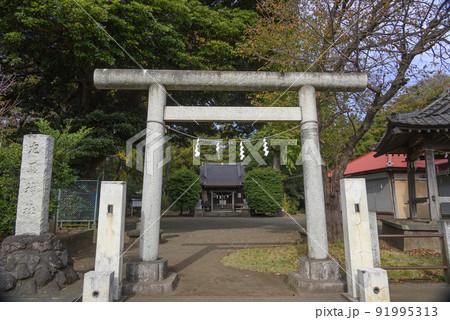 左馬神社の全景　大和市上和田 91995313