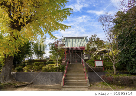 薬王院の全景　大和市 91995314