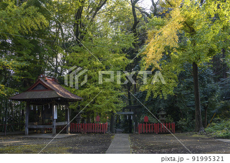 左馬神社の全景　大和市下和田 91995321