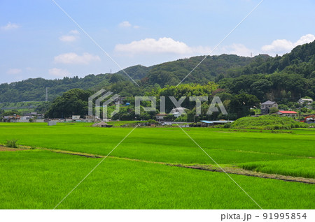 葉山島の農村風景 91995854