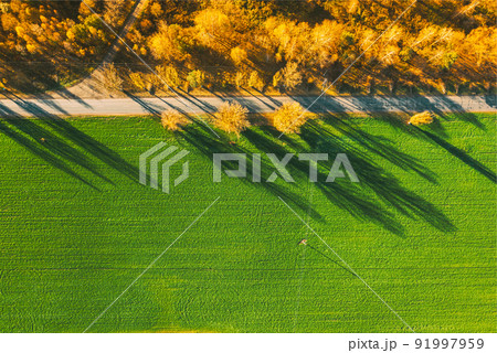 Aerial view of highway road through green field and autumn yellow forest landscape. Top view flat view of highway motorway freeway from high attitude. Trip and travel concept 91997959
