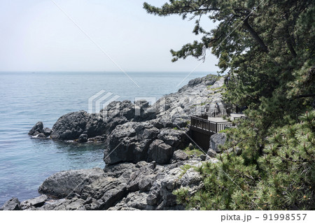 椿島 浜 空 91998557