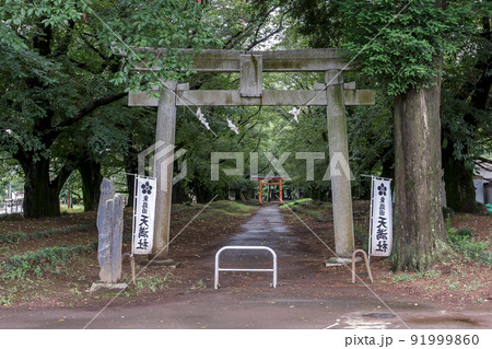 杜の緑に包まれていて自然をビシビシ感じる東蕗田天満社鳥居 杜の緑に包まれていて自然をビシビシ感じる東蕗田天満社鳥居 91999860
