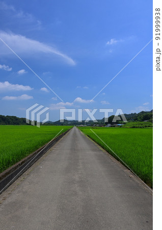 葉山島の田園地帯 葉山島の田園地帯 91999938