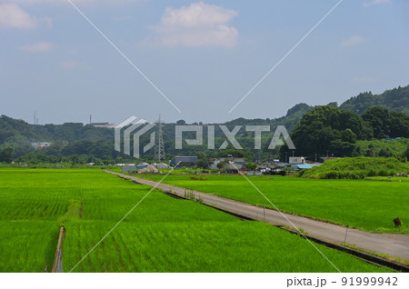 葉山島の田園地帯 葉山島の田園地帯 91999942