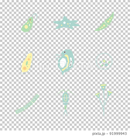 Illustration of microorganisms 91999943