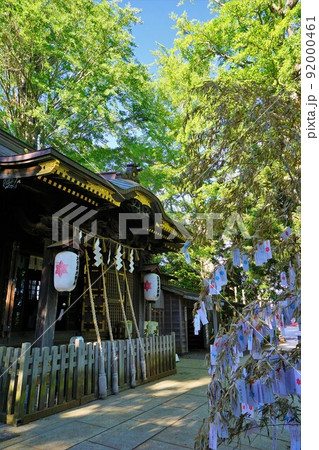 神社の七夕飾り 佐倉市麻賀多神社 神社の七夕飾り 佐倉市麻賀多神社 92000461