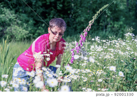 Woman collects a bouquet of wild flowers with daisies and foxglove 92001330