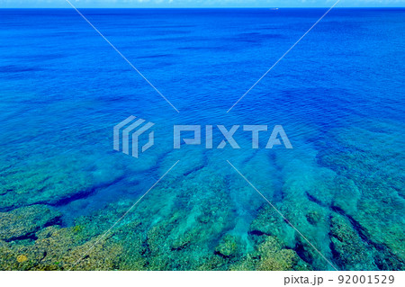 珊瑚礁の青い海、癒しの海 92001529