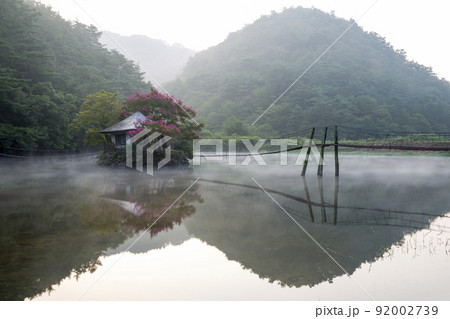 木 橋 反射 92002739