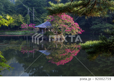 木 橋 反射 92002759